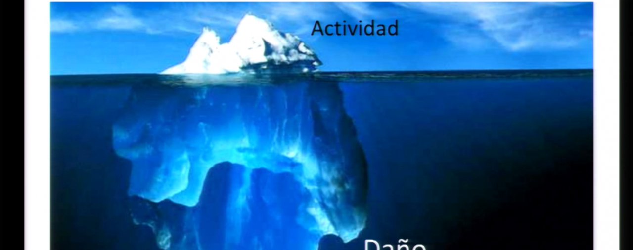 ACTIVIDAD INFLAMATORIA Y DAÑO EN LUPUS